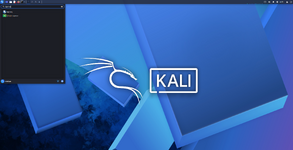 VirtualBox_KALI_24_06_2026_03_09_49.png
